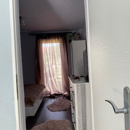 蒂米什瓦拉Garsoniera La Casa公寓 外观 照片